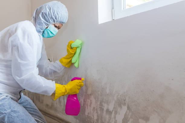 Mold Remediation for Vacation Homes in Kiln, MS